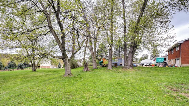 Une cour verdoyante avec des arbres et un bâtiment en briques.