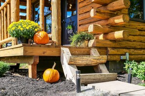 Apartment (0 Bedroom) | Interior - Peaceful 'creekside North' Studio w/ Fire Pit (Holmesville)