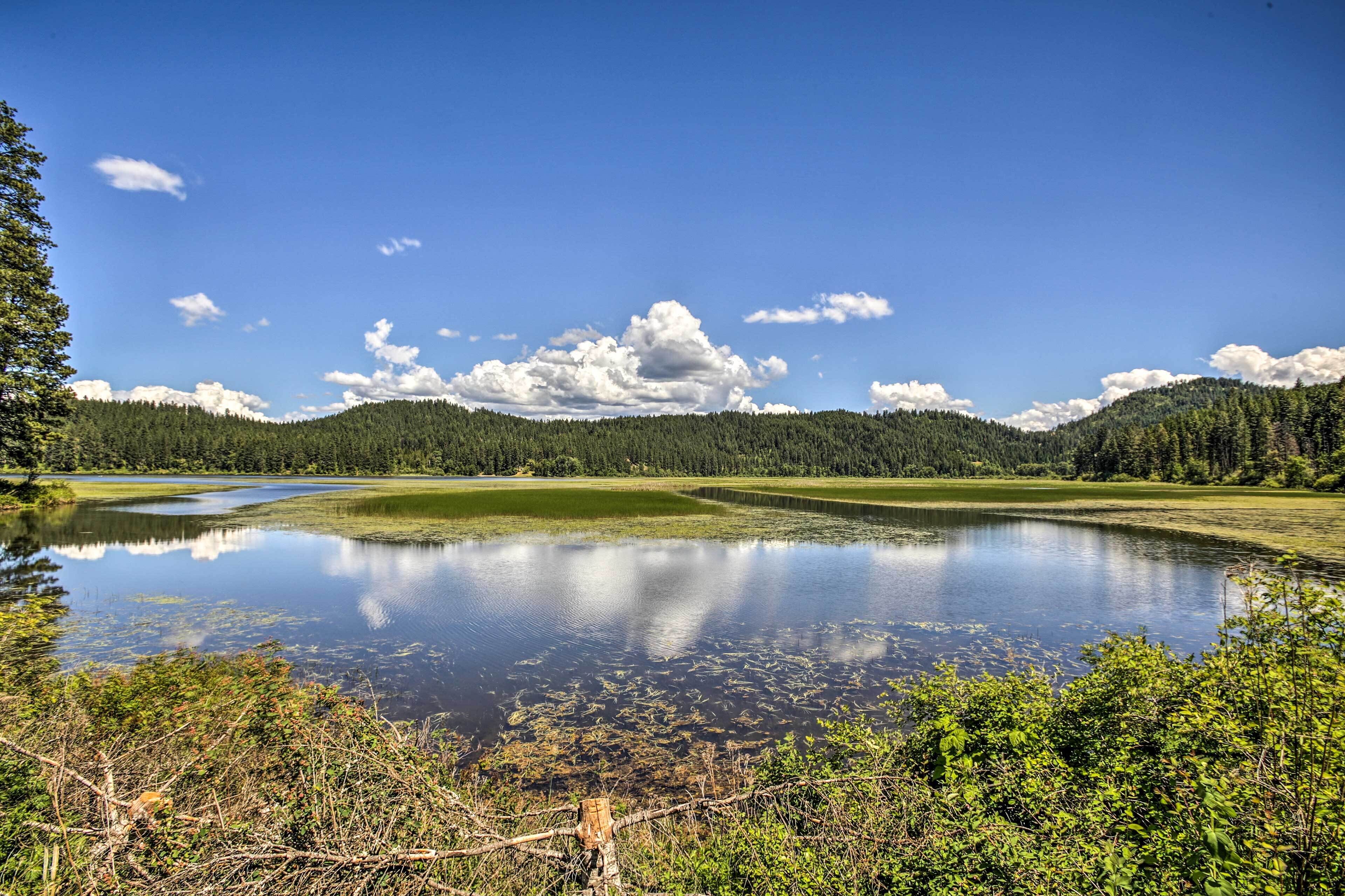 Private 2-acre Retreat w/ MTN Views, Walk to River