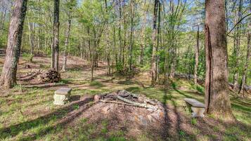 Nhà (1 Bedroom) | Nội thất