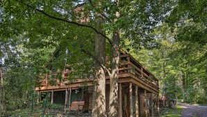 A rustic wooden structure with a wooden deck, surrounded by lush greenery and trees. - Serene Lodi Escape w/ Deck: Boat, Hike & Sip! (Lodi)