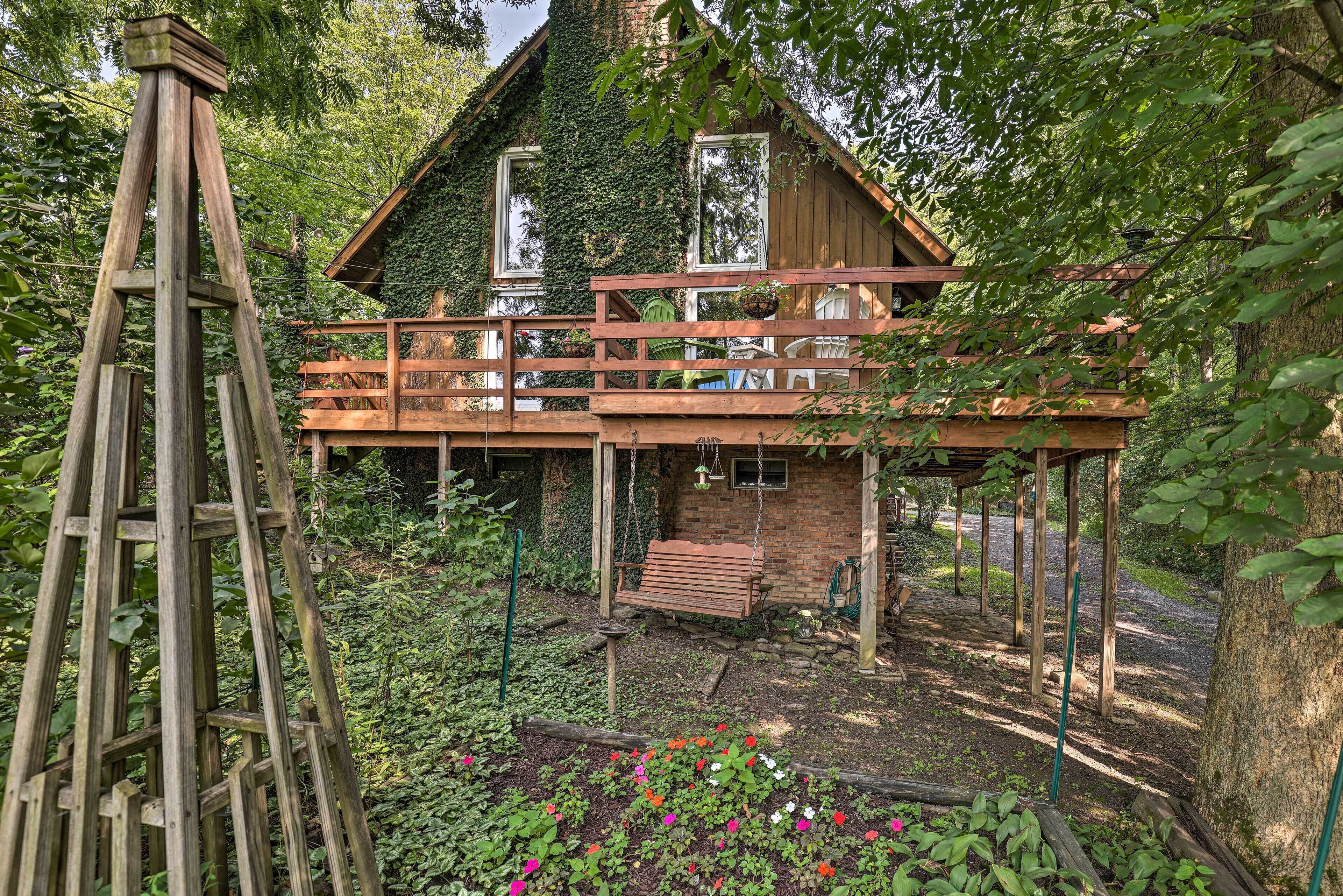 Serene Lodi Escape w/ Deck: Boat, Hike & Sip!