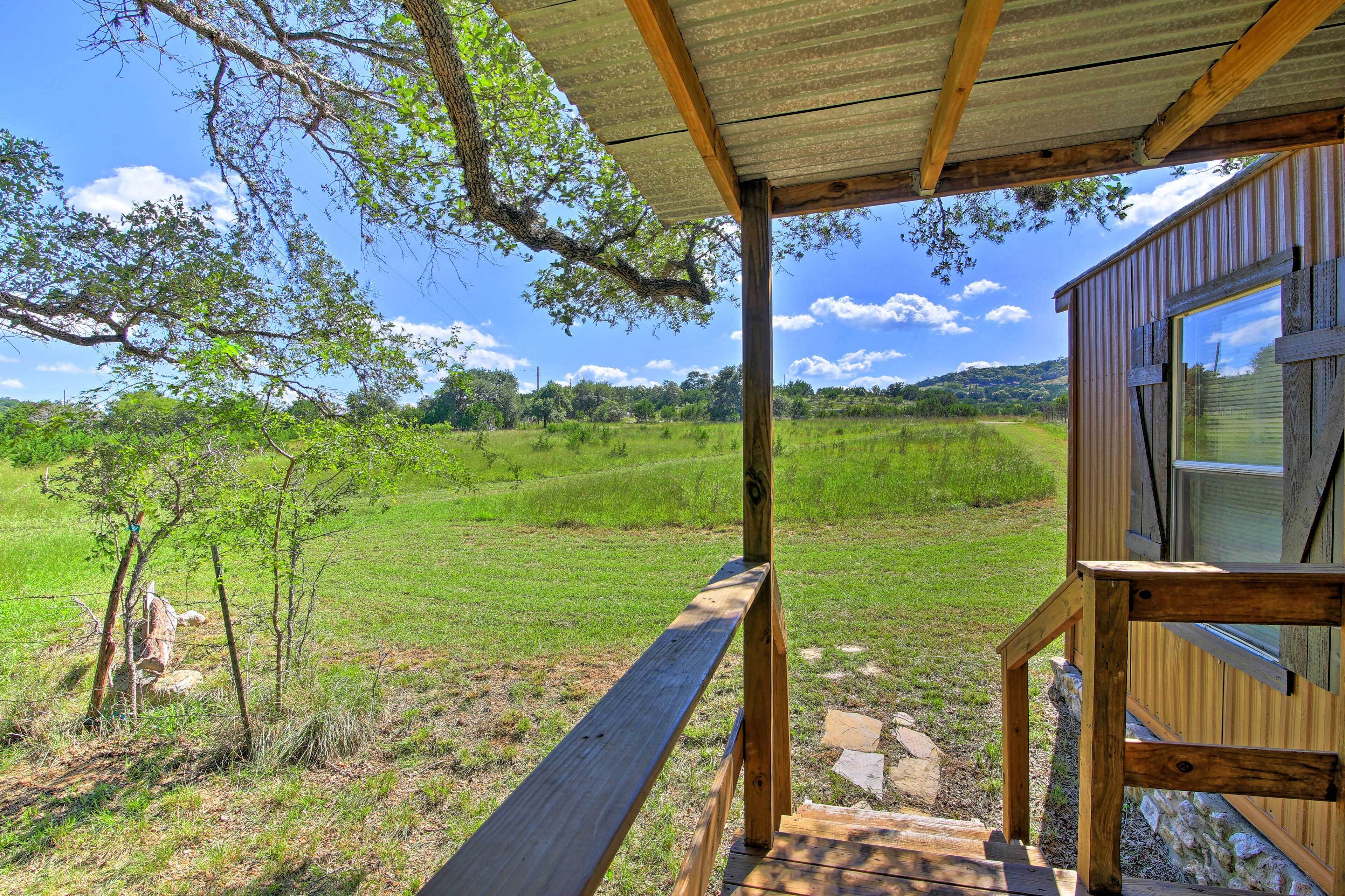 A wooden deck with a view of a grassy field and trees.