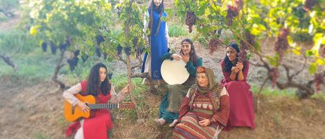 A group of people in a vineyard setting.