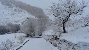 A snow-covered pathway leading through a mountainous area with bare trees and a stone wall on one side. - Areni Lodge (Areni)