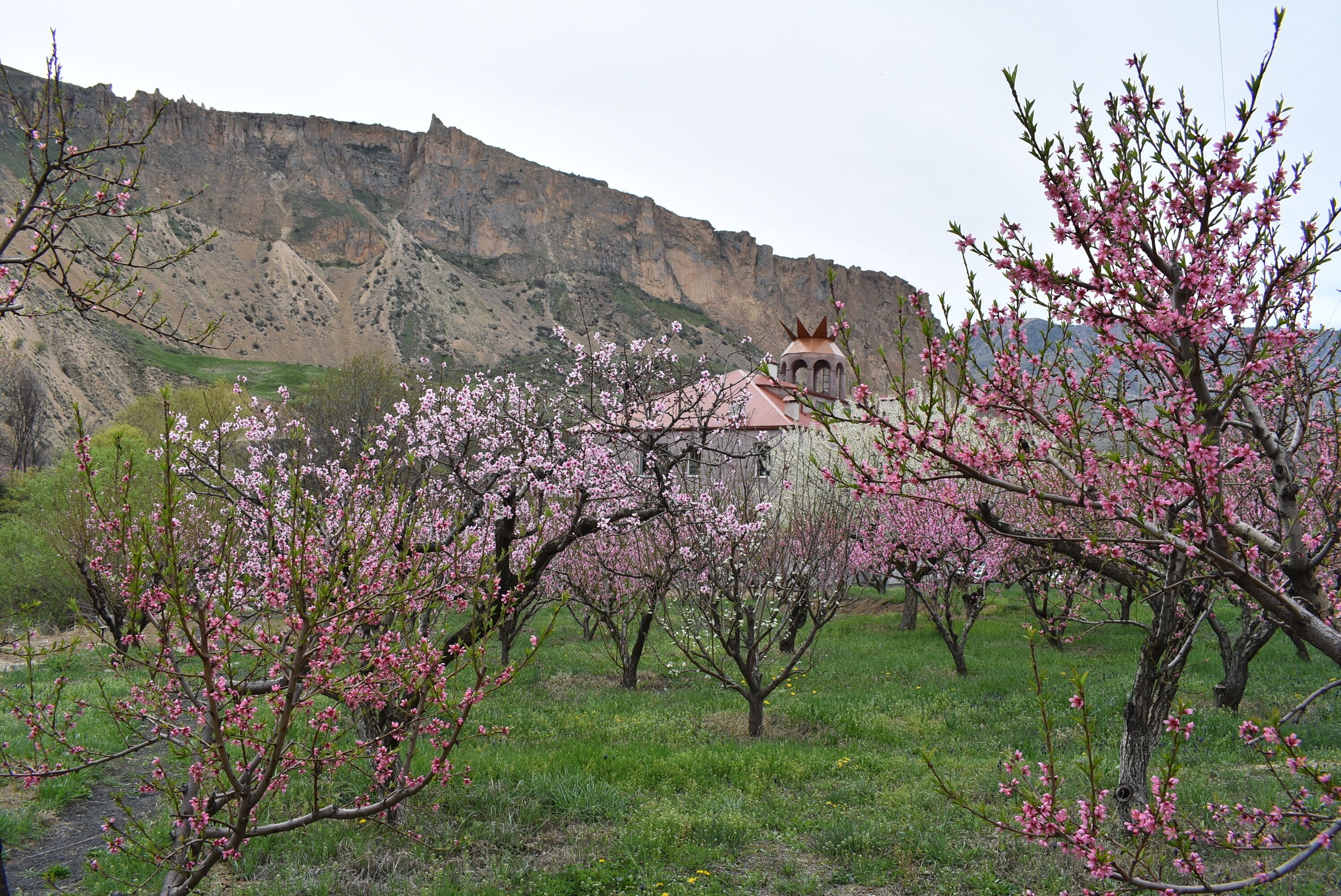 Un bâtiment doté d’un toit rouge et d’un clocher, entouré d’arbres en fleurs.