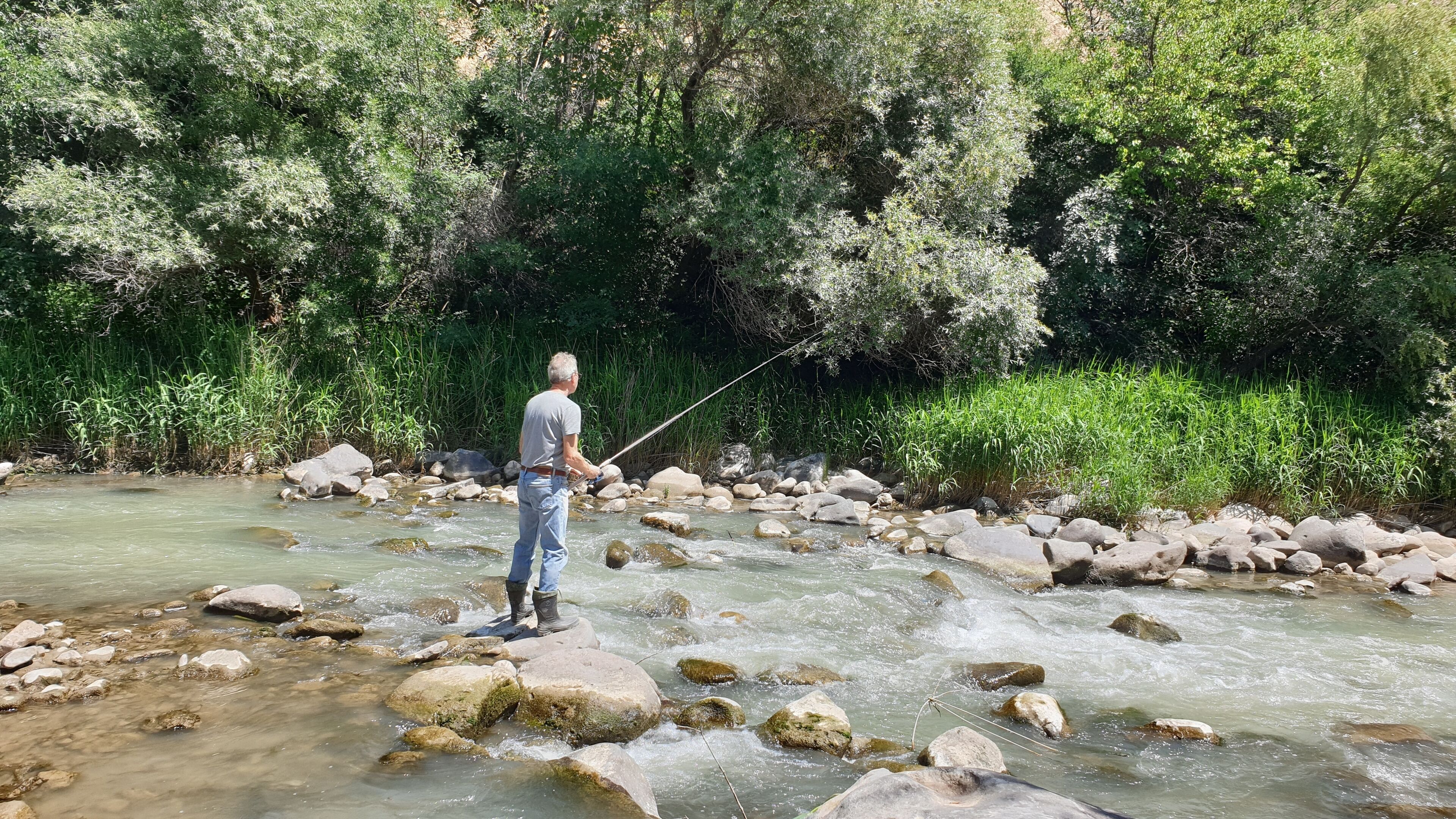 A man fishing in a river with rocks and greenery around.