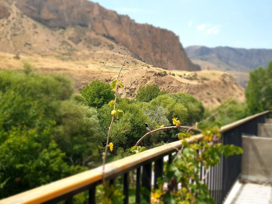 A balcony with a view of a mountainous landscape, a railing, and some greenery.