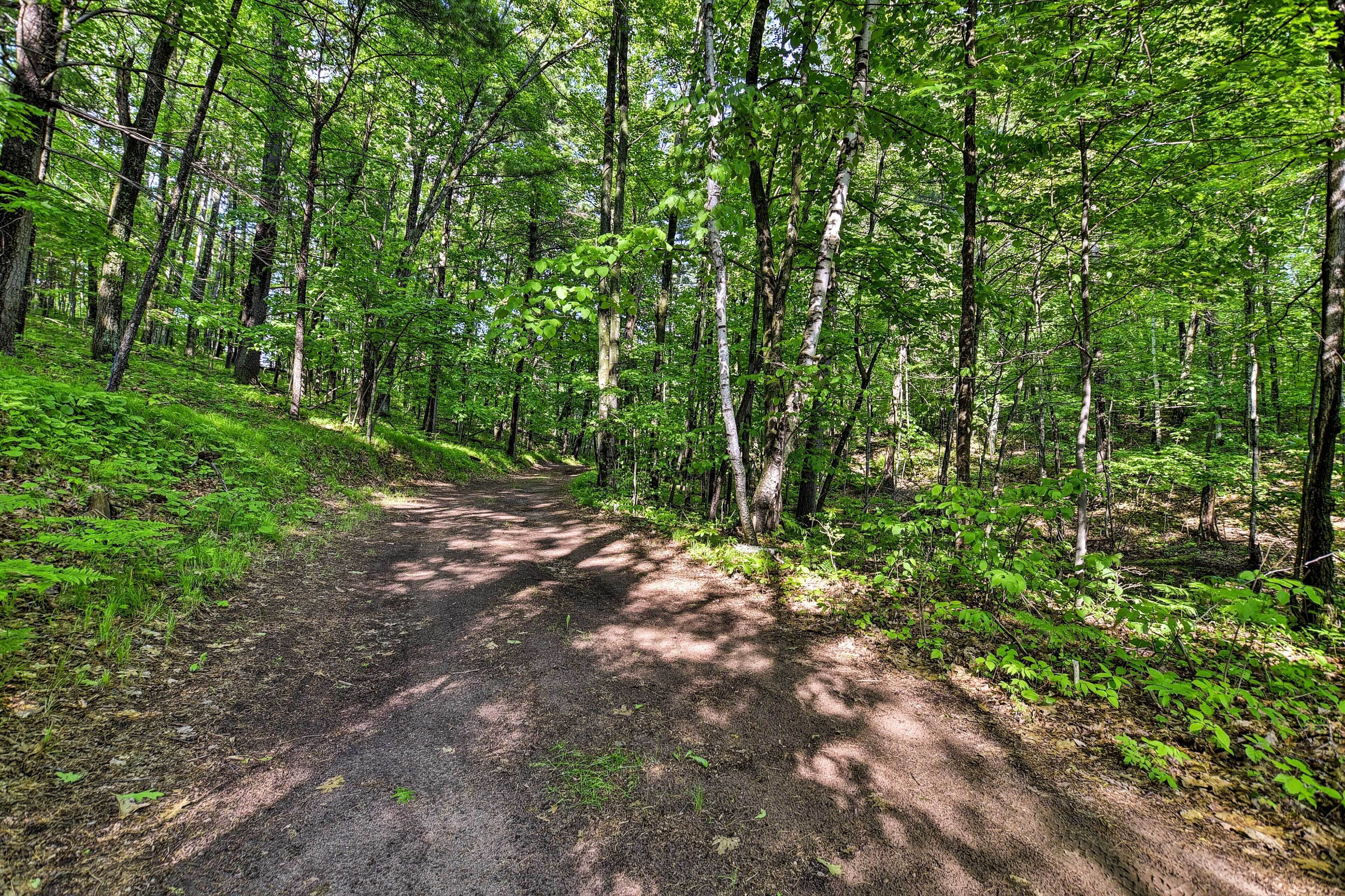 Ein von dichtem Wald und Unterholz gesäumter Pfad.
