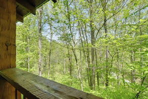 Ferienhaus (1 Bedroom) | Innenbereich