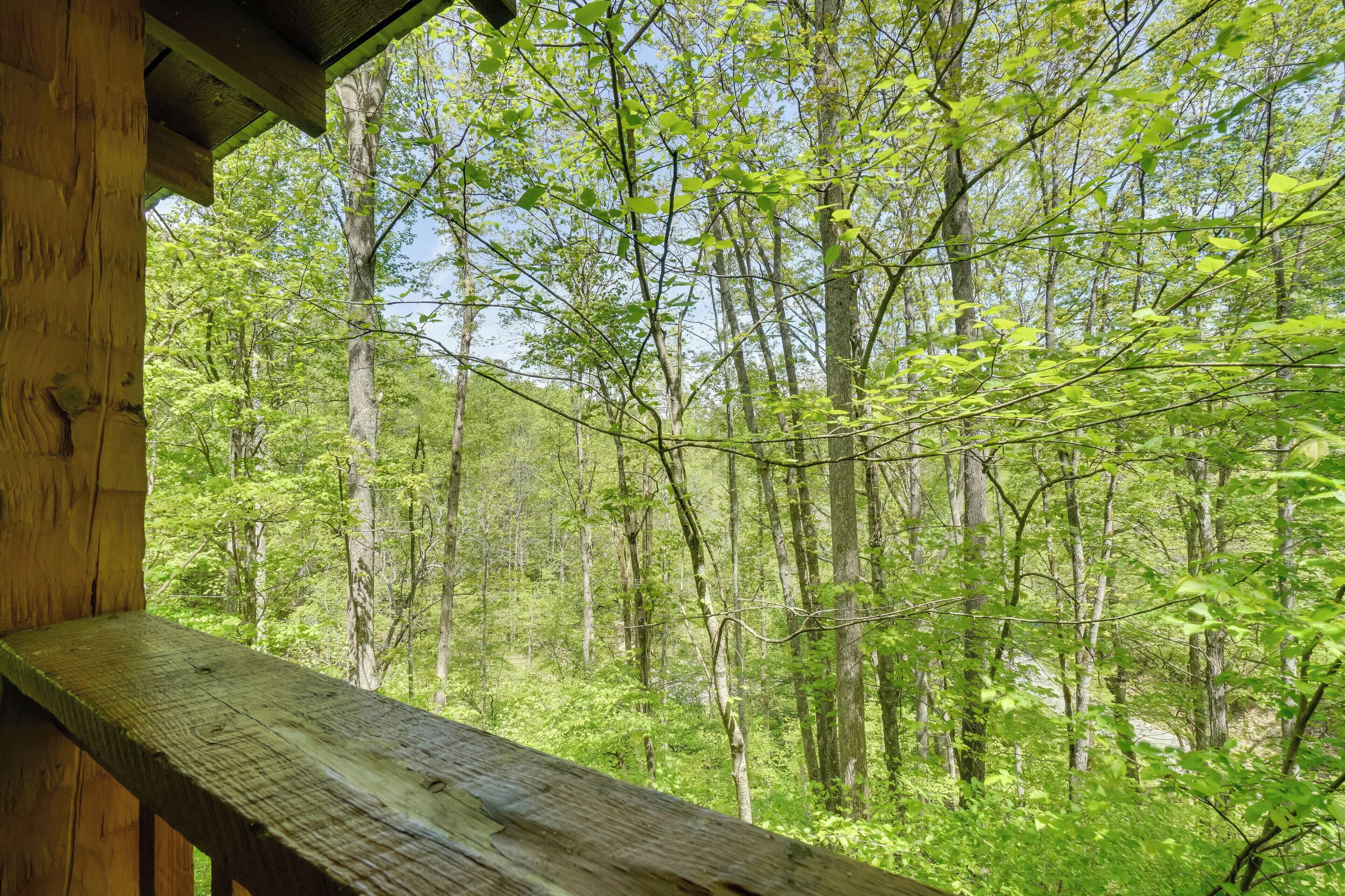 House (1 Bedroom) | Interior