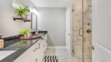 A modern bathroom with a black countertop, a glass shower enclosure, and a potted plant on the wall.