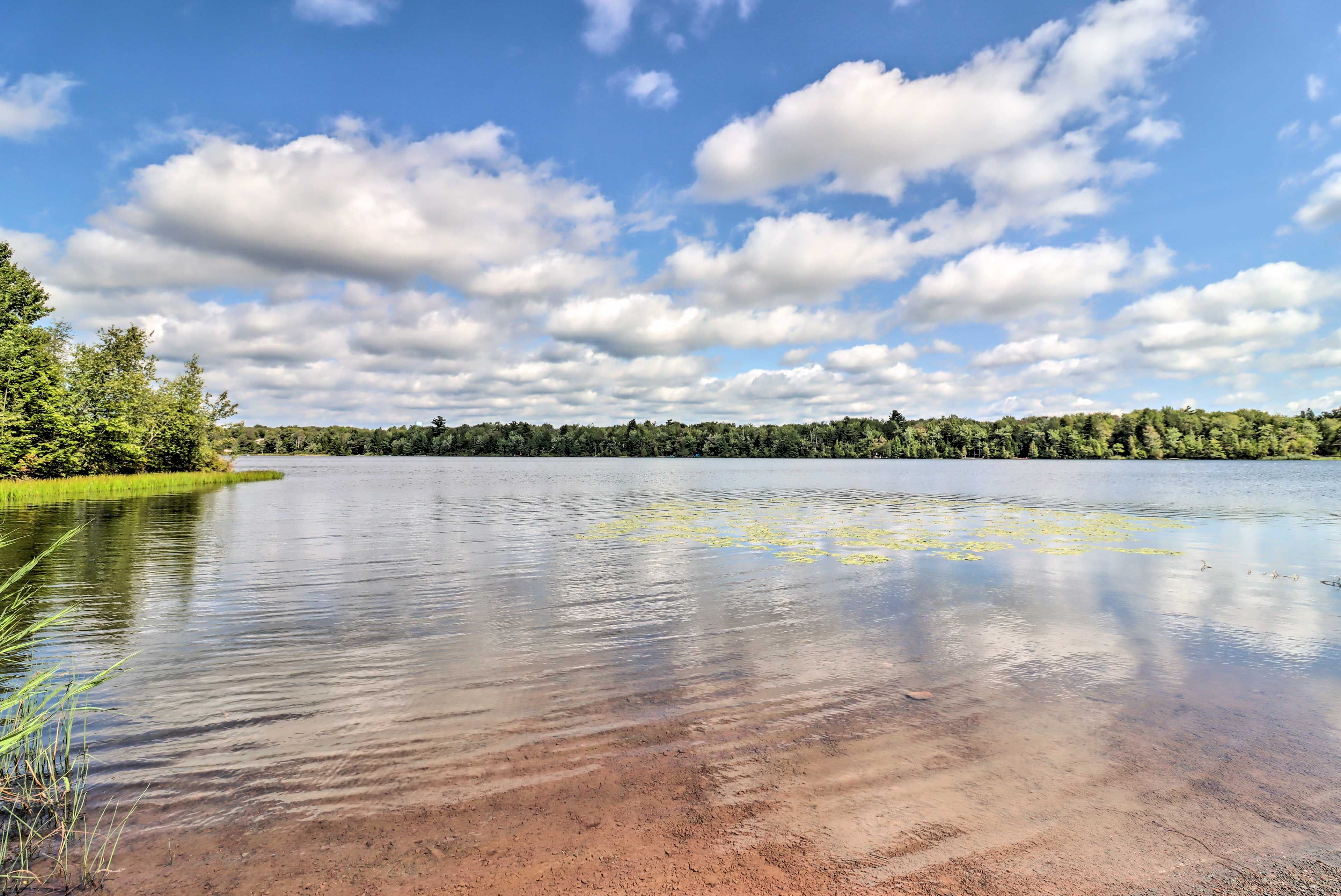 A calm lake with clear water, surrounded by dense greenery and a forest in the background.