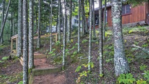Eine Holzterrasse führt zu einer Hütte, die von hohen Bäumen umgeben ist.