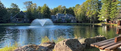 A lake with a fountain, surrounded by houses and trees.