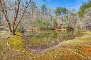 Interior - Murphy Cabin w/ Deck, Grill & Private Pond! (Murphy)