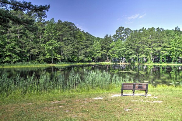 Un banc au bord d’un lac, entouré d’une forêt dense.
