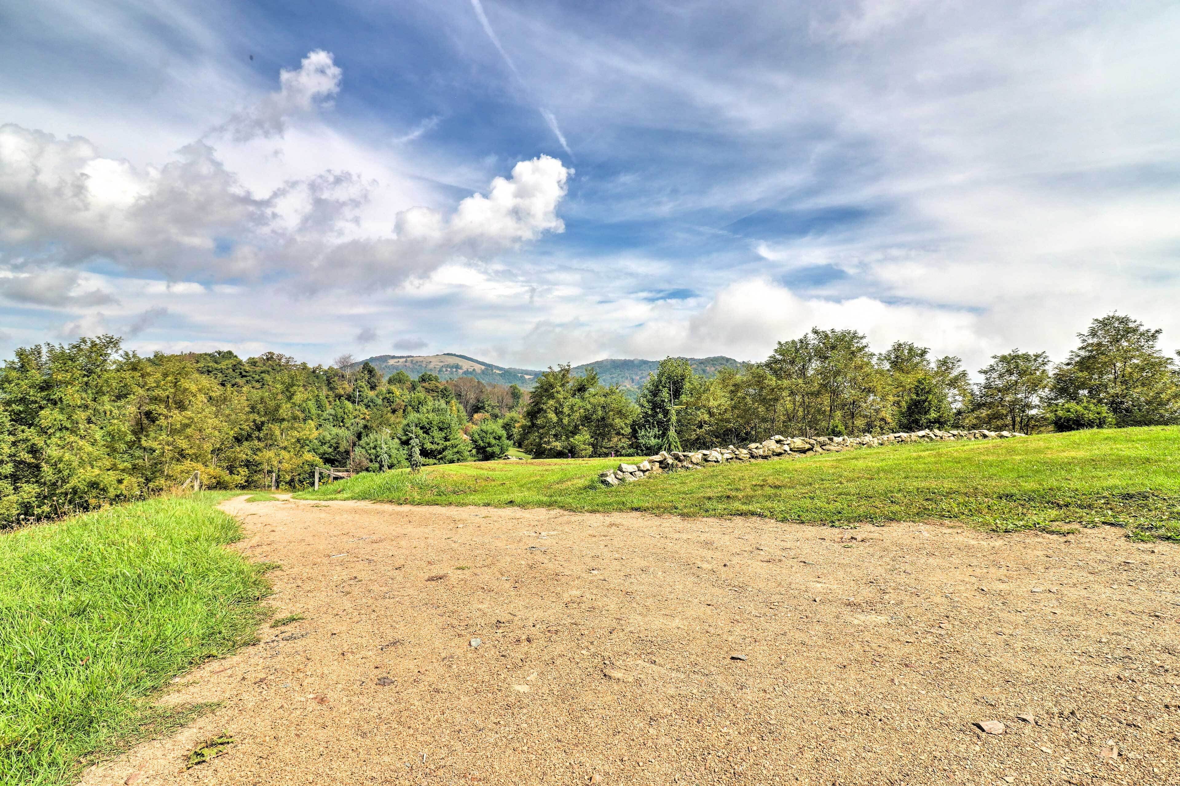 A dirt path leading through a grassy field with a stone wall and trees in the background.