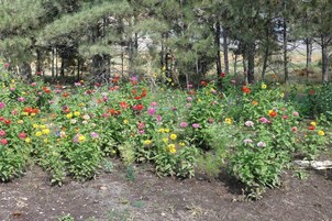 Διαμέρισμα (1 Bedroom) | Εσωτερικοί χώροι