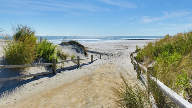A sandy beach path with wooden railings and vegetation on either side.