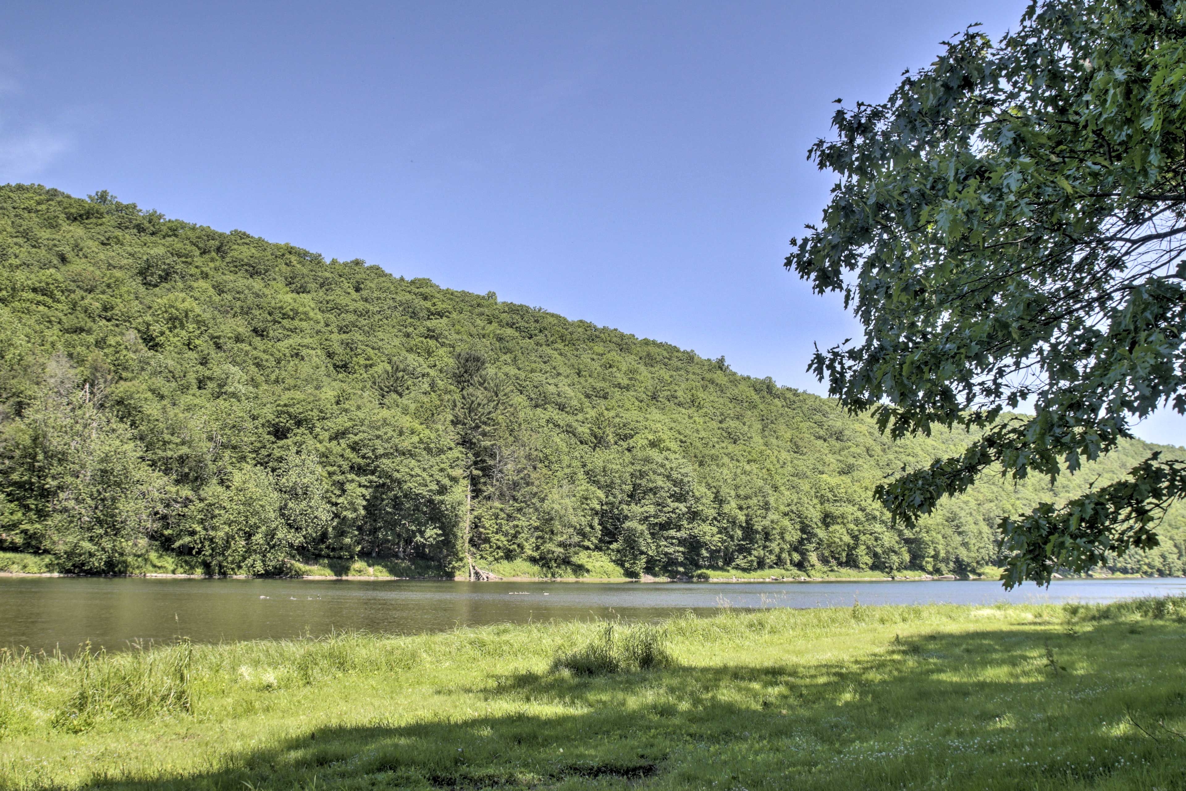 A river with a forested hill in the background.