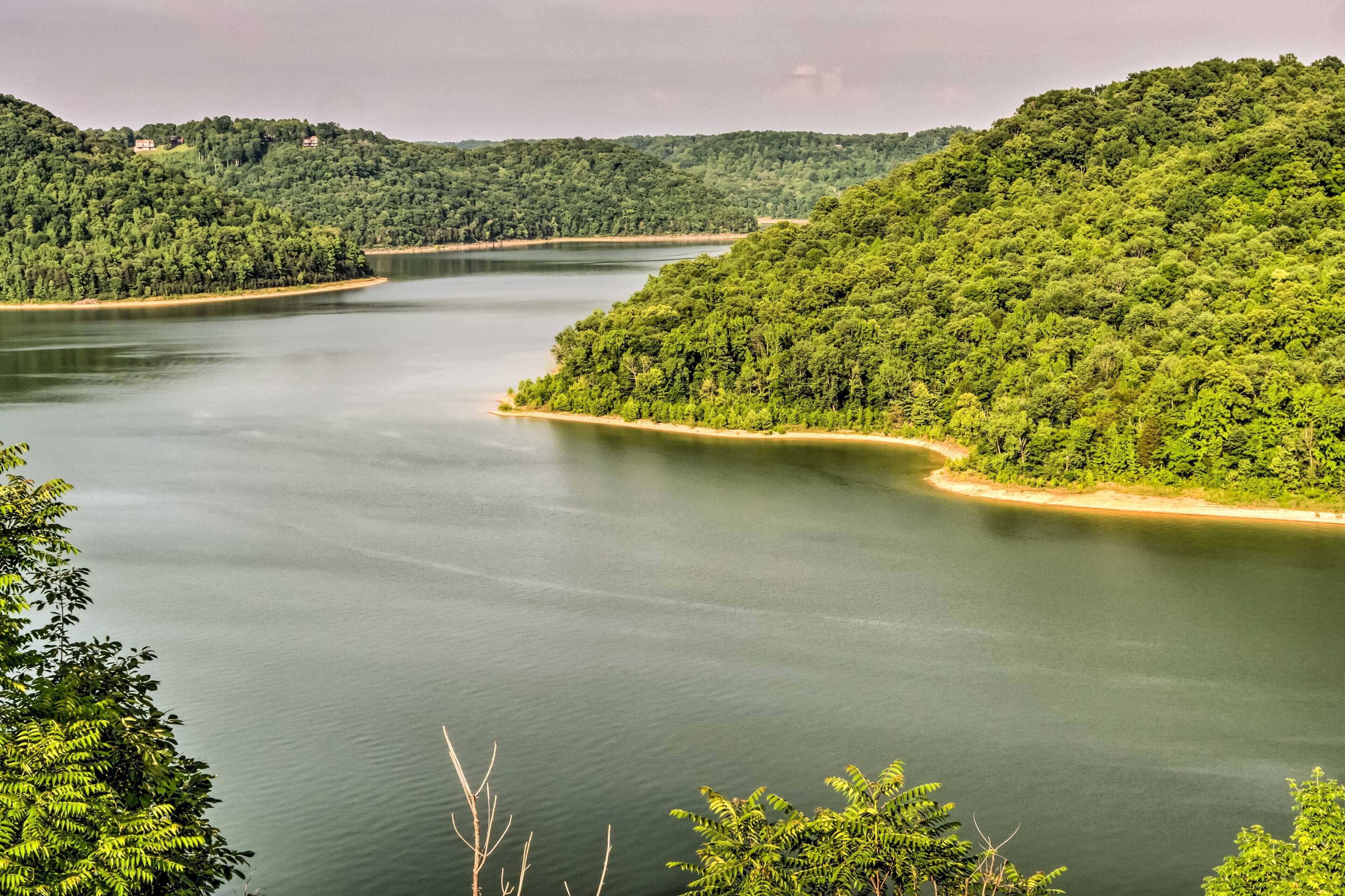 A river winding through a forested landscape with hills on either side.