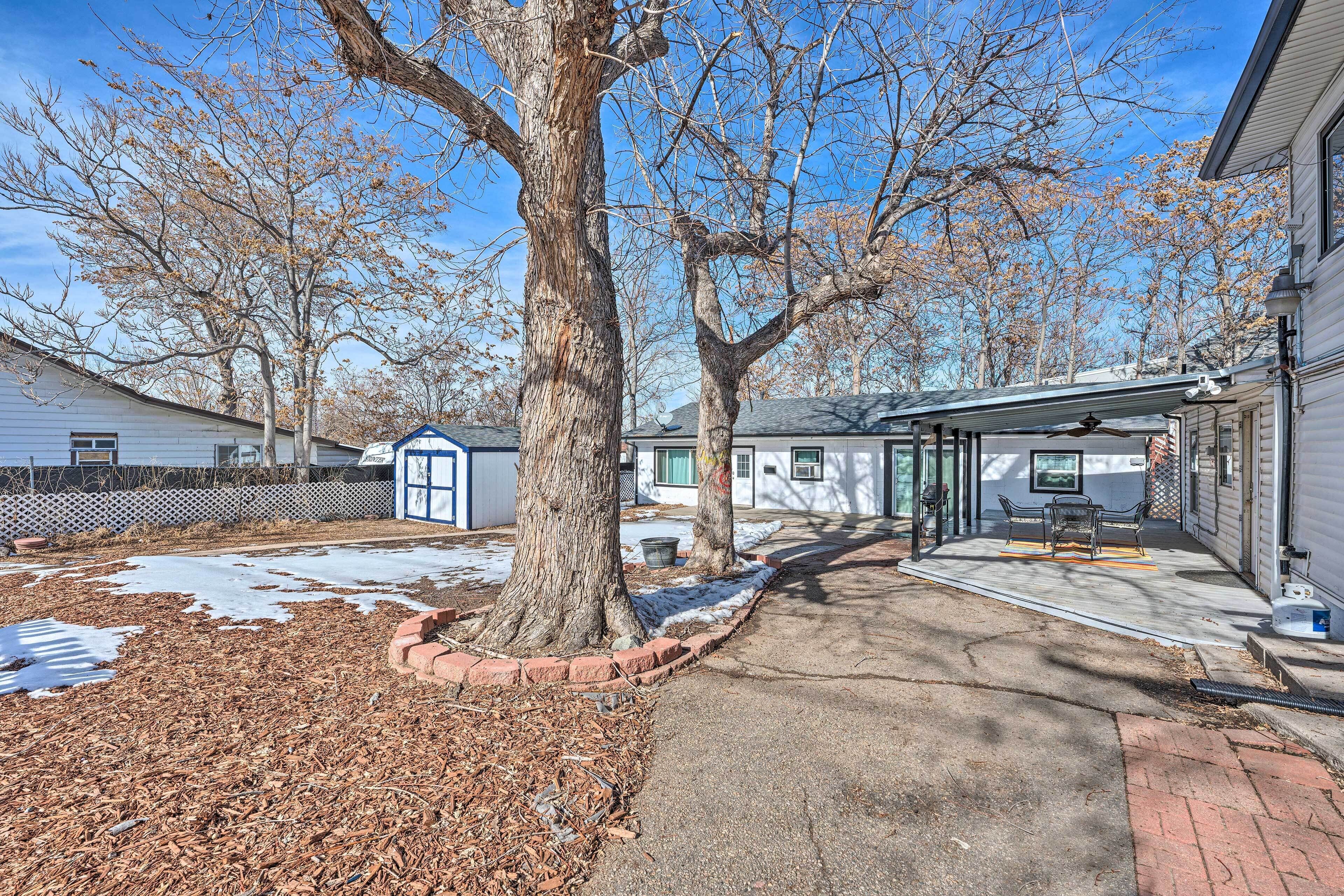 A residential property with a covered patio, a large tree, and a snow-covered ground.