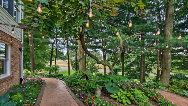 A pathway lined with flower beds and trees, with string lights hanging overhead.