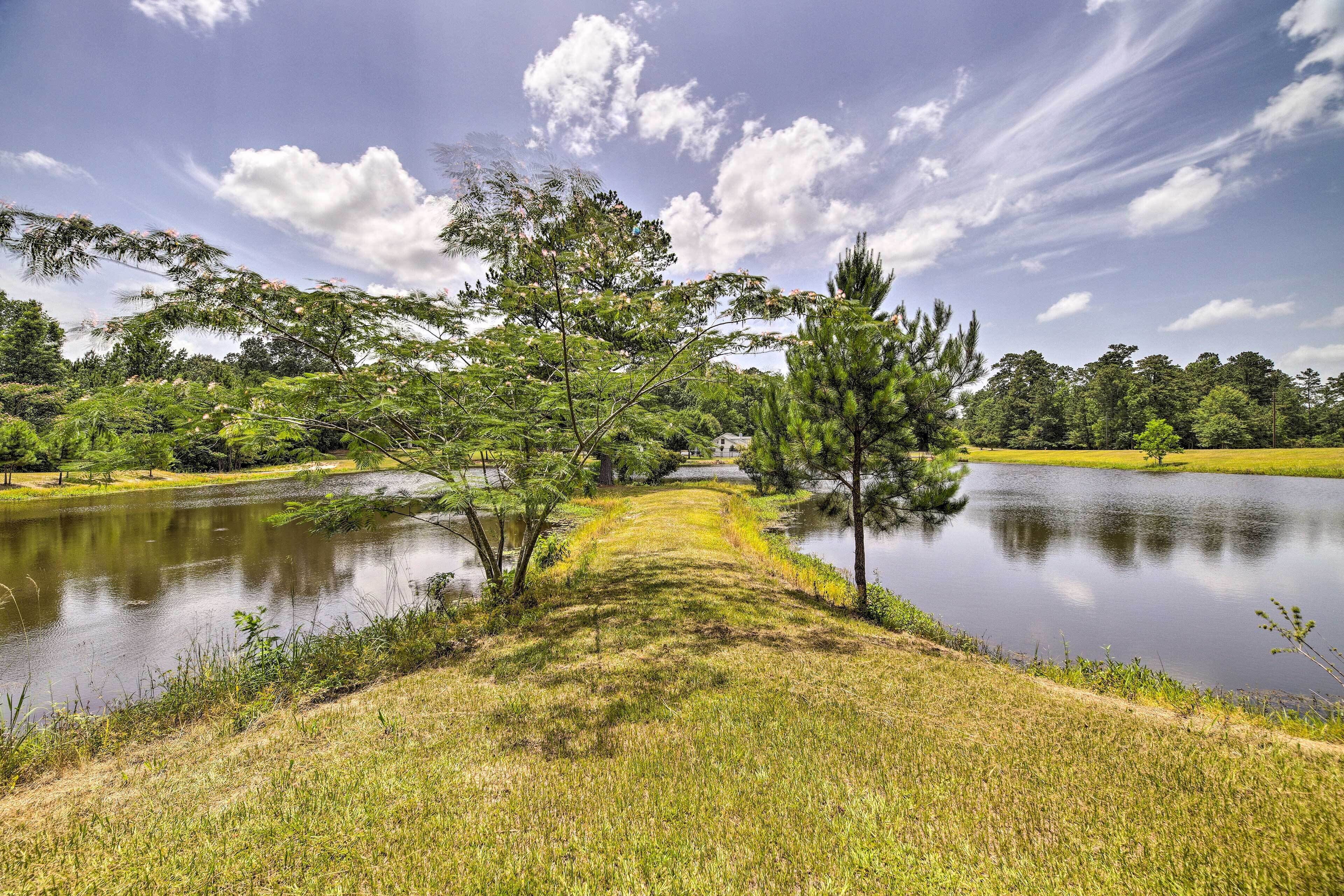 Stylish Woodville Cabin: Fishing Dock Access!