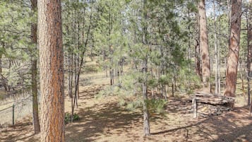 Hus (3 Bedrooms) | Interiör