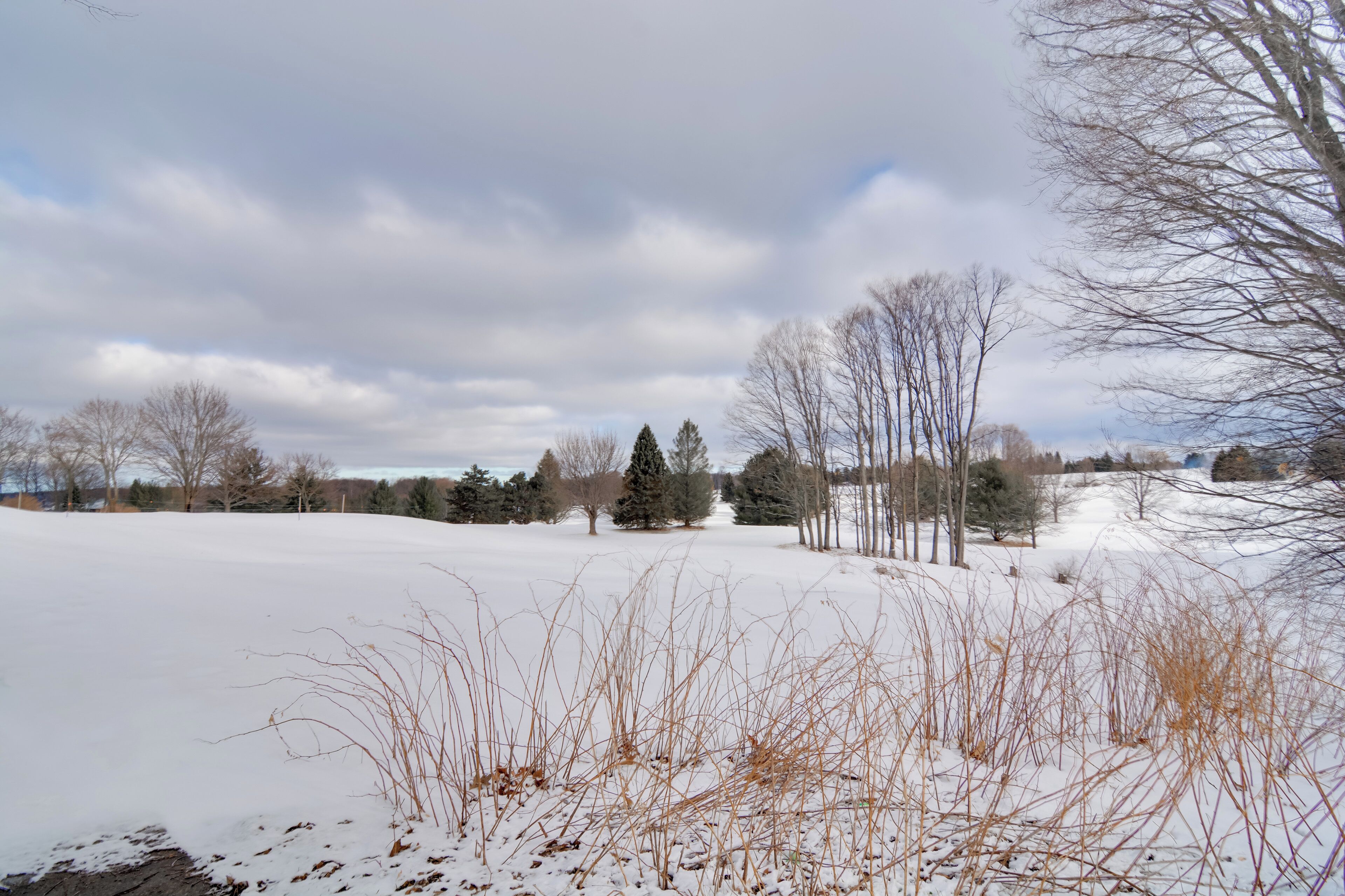 A snowy landscape with trees and a clear sky.