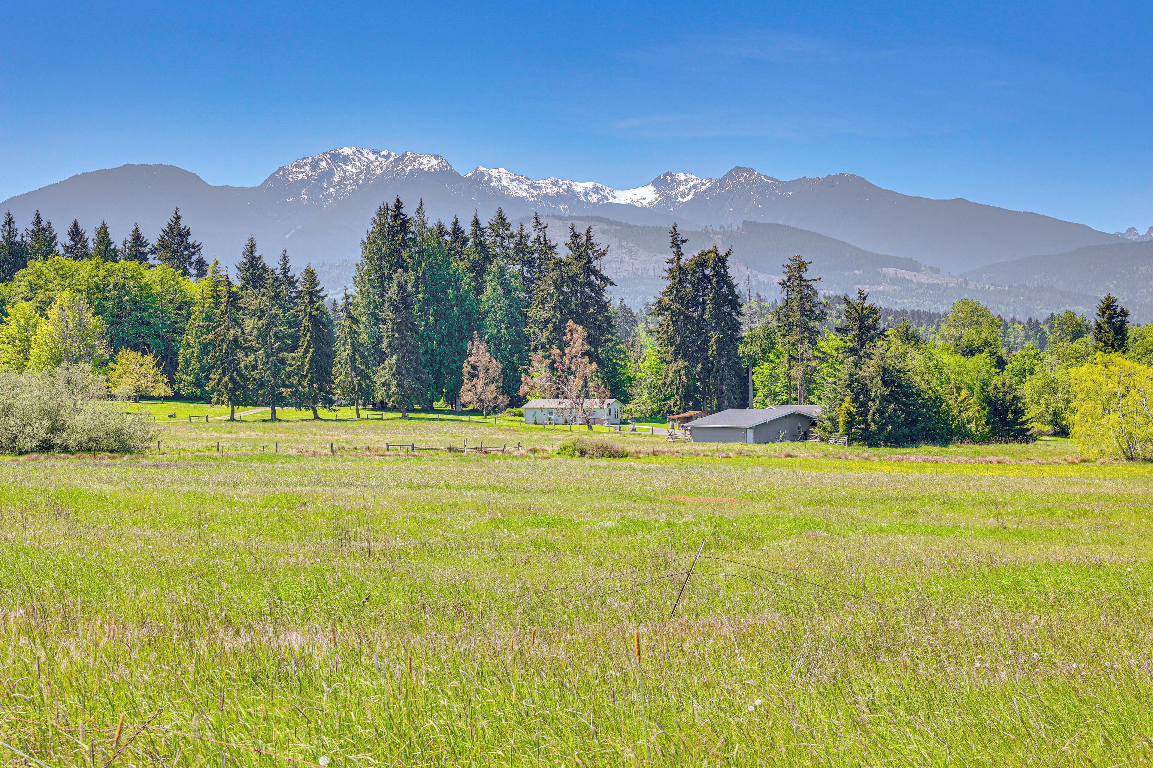 Un paysage rural avec un champ, des arbres et une chaîne de montagnes en arrière-plan.