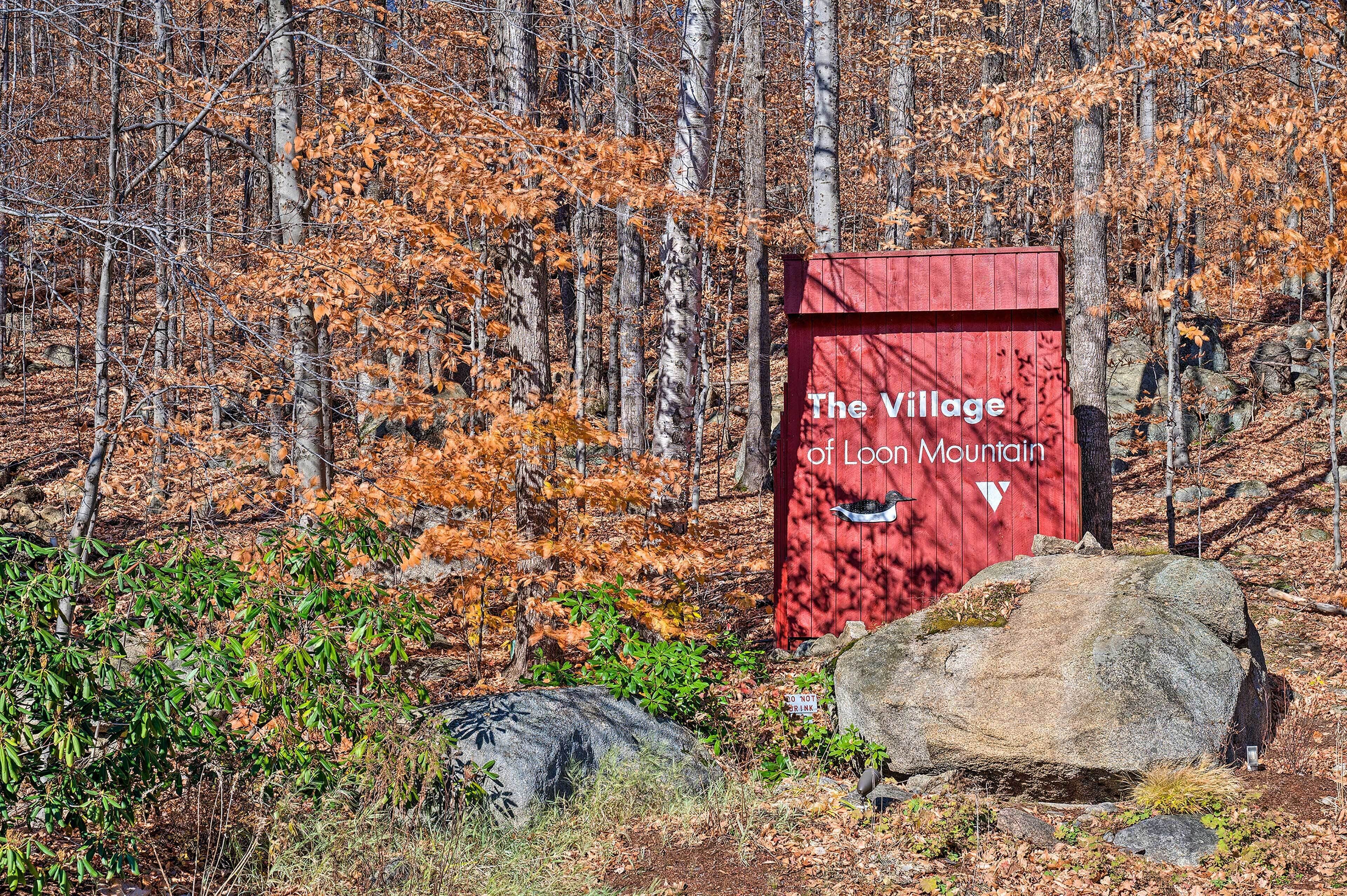 A red wooden sign with white lettering stating 'The Village of Lone Mountain' in a forested area with autumn leaves.