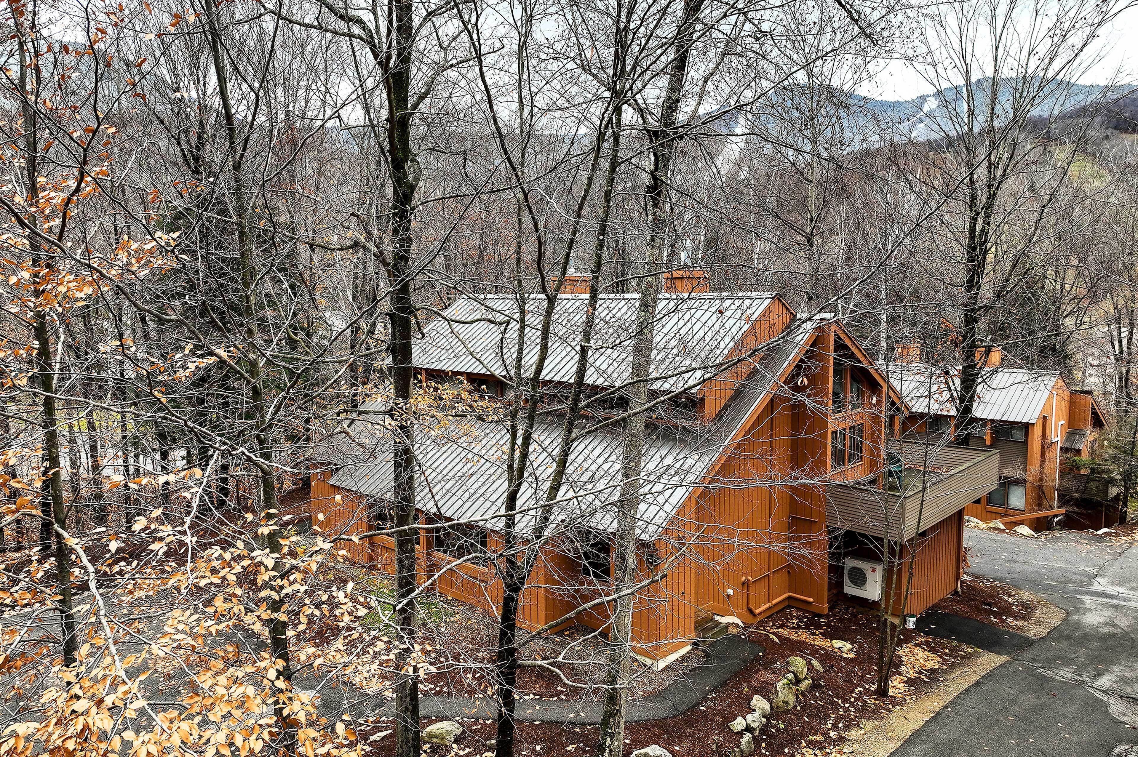 A cabin with a sloped roof, surrounded by trees and a mountain backdrop.