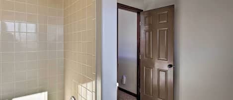 A bathroom with a shower, toilet, and a door leading to another room.