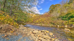 A natural landscape with a clear stream, rocky terrain, and dense foliage. - Colorful Bakersville Cottage: Views, Pets Allowed! (Bakersville)