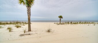 Walk to Beach: Gulfport Retreat w/ Patio