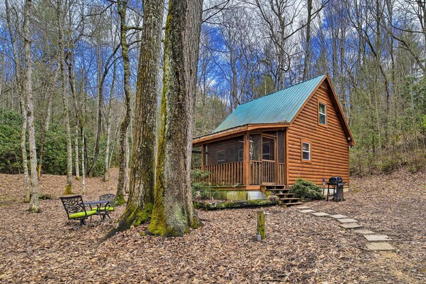 Apartment (0 Bedroom) | Interior - Peaceful Mountain City Cabin w/ Porch & Fire Pit (Mountain City)