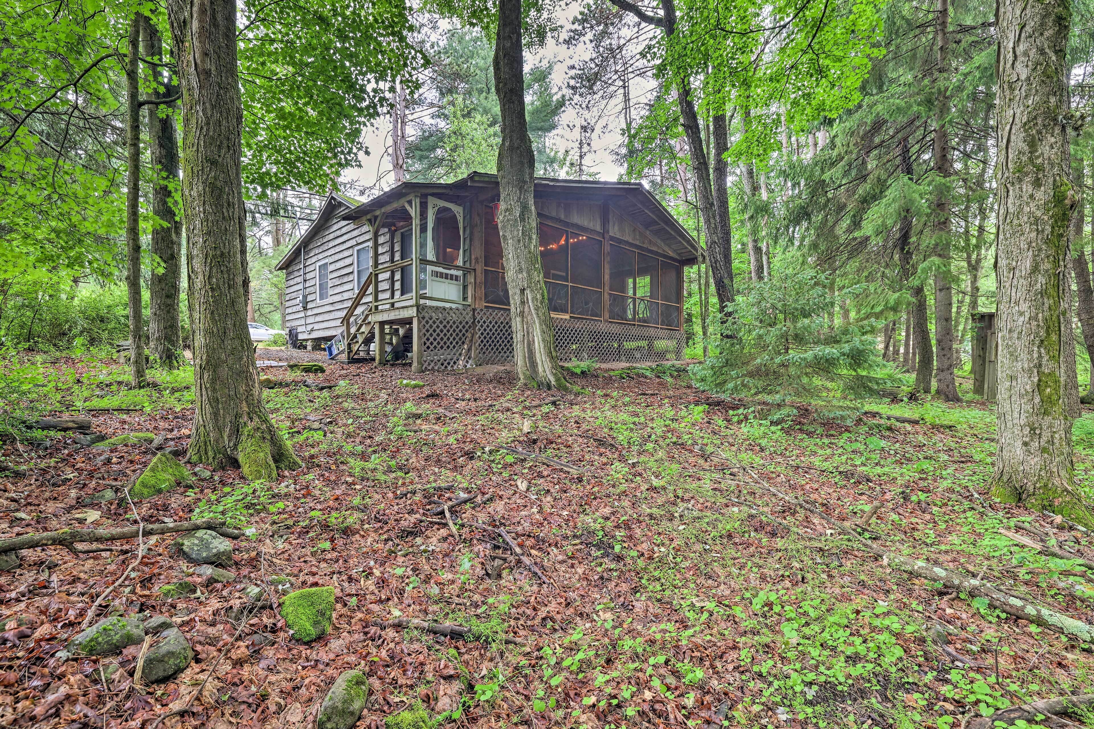 Nhà (1 Bedroom) | Nội thất