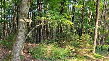 Une zone boisée avec un panneau en bois indiquant un sentier.