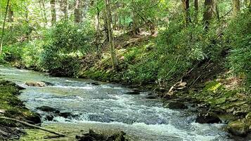 House (1 Bedroom) | Bahagian dalam