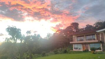 Stunning building with a flat roof and balcony, set amidst a lush lawn and palm trees.
