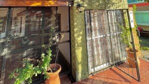 Une maison avec une entrée fermée par un portail, un petit porche et un pot de fleurs.