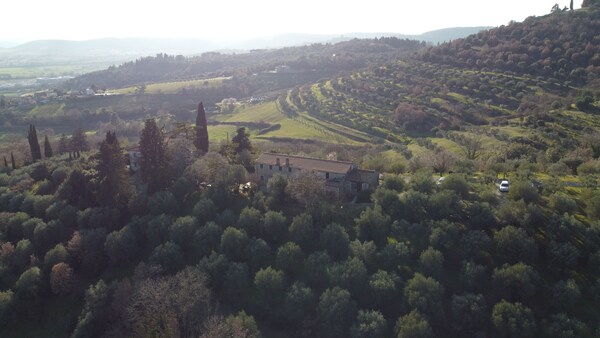 Il Mulino Delle Canutole - Umbria