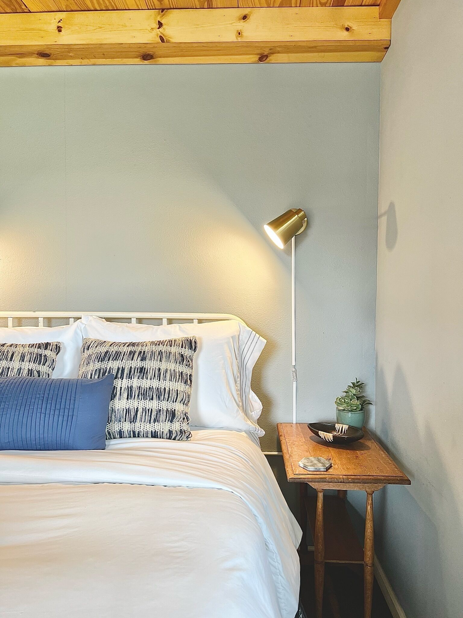 Mountain Koru - Tiny House in Thomas WV