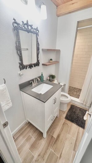Bathroom - Mountain Koru - Tiny House in Thomas WV (Thomas)