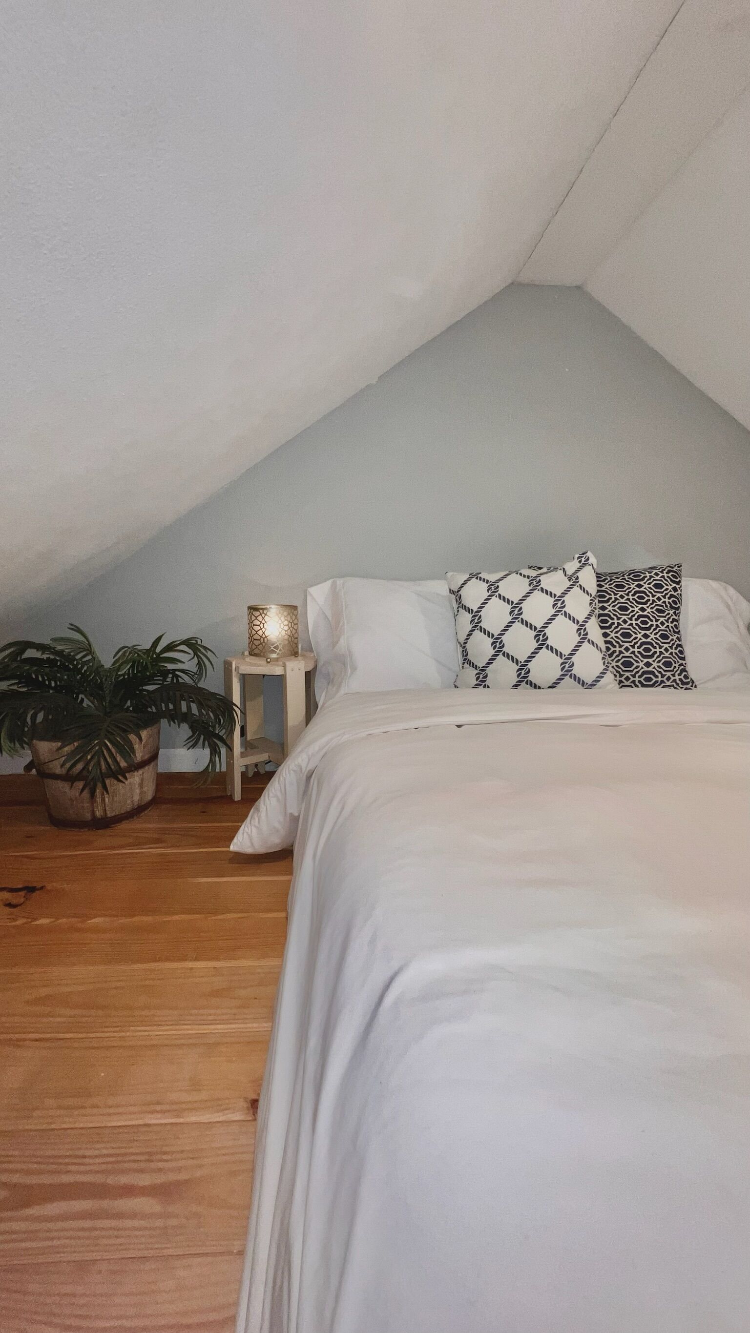 Mountain Koru - Tiny House in Thomas WV