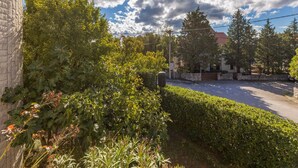 A residential street with a brick building on the left, lush greenery, and a clear sky with clouds.