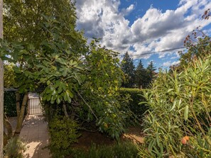 Stroll through the serene garden, surrounded by lush trees and shrubs along a paved pathway.