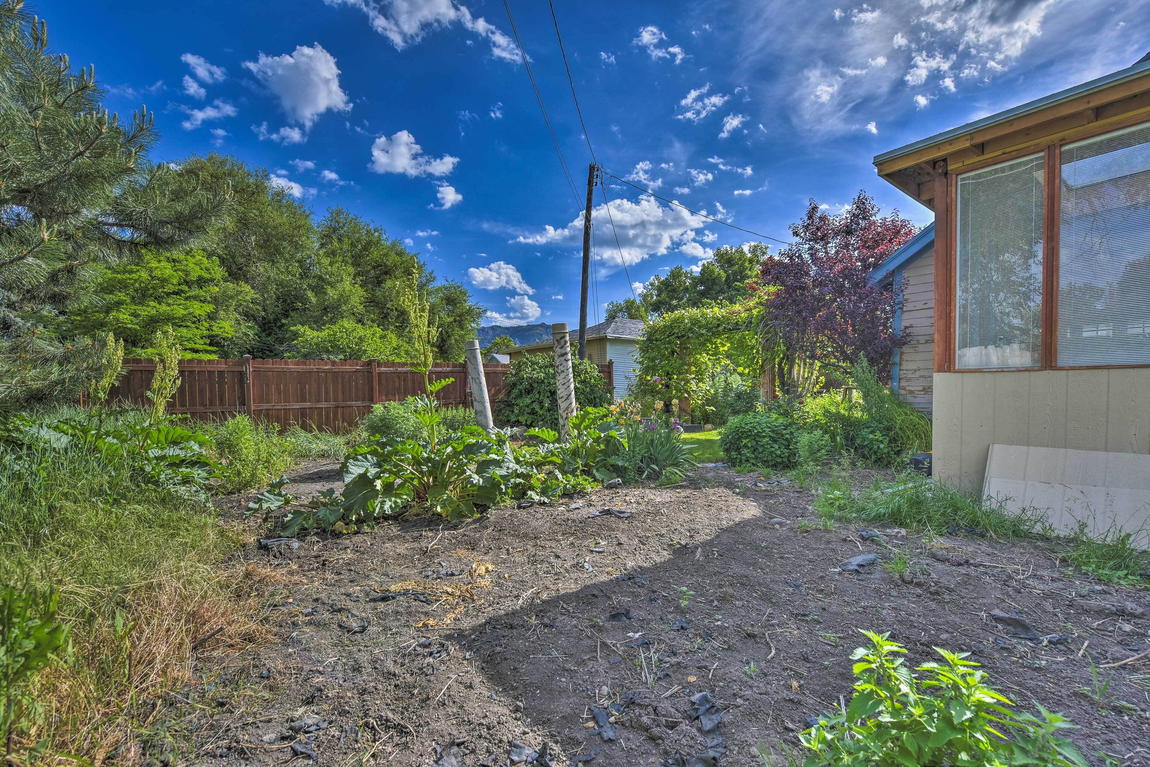 A backyard with a wooden fence, a house with a large window, and a clear blue sky.